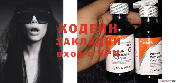 хмурый Бородино