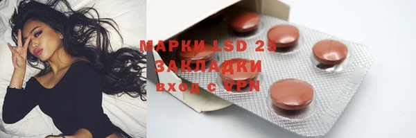 прущие грибы Покров