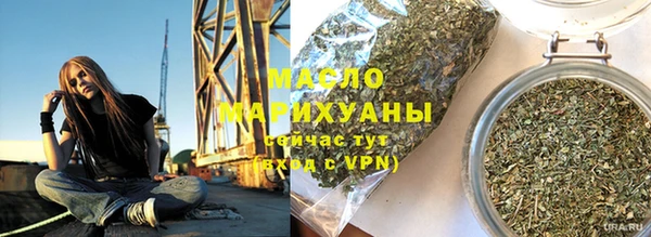 хмурый Бородино