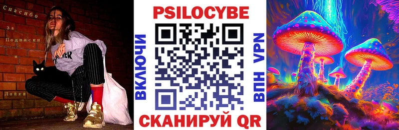 блэк спрут ТОР  Камешково  Псилоцибиновые грибы мицелий 